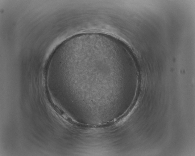 X0000070371506200606231634