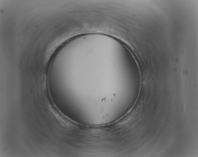 X0000070371507200606231634