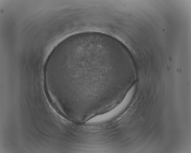 X0000070371508200606231634