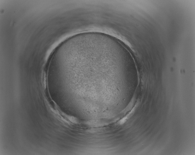 X0000070371510200606231634