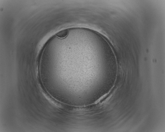 X0000070371511200606231634