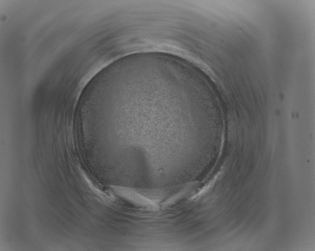 X0000070371513200606231634