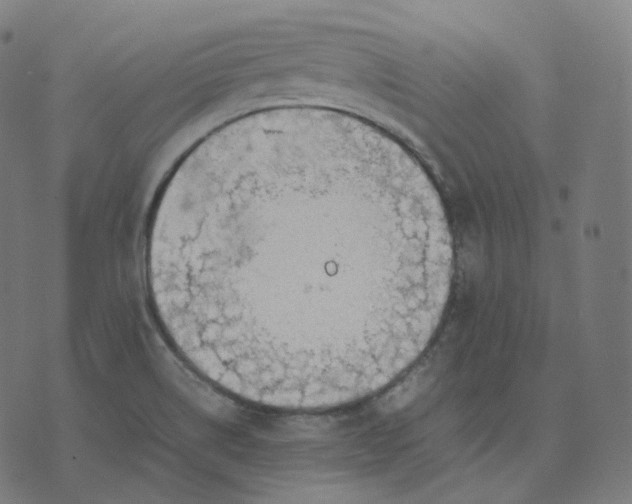 X0000070371514200606231634