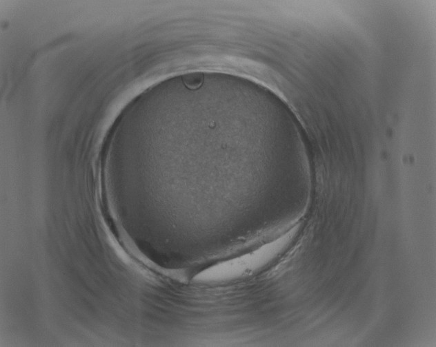 X0000070371515200606231634