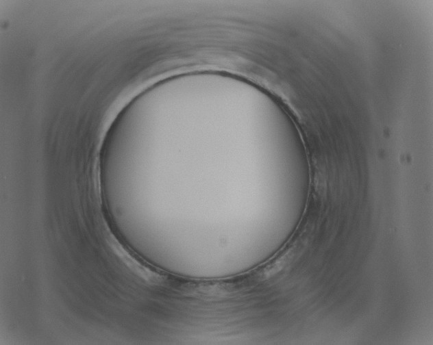 X0000070371516200606231634