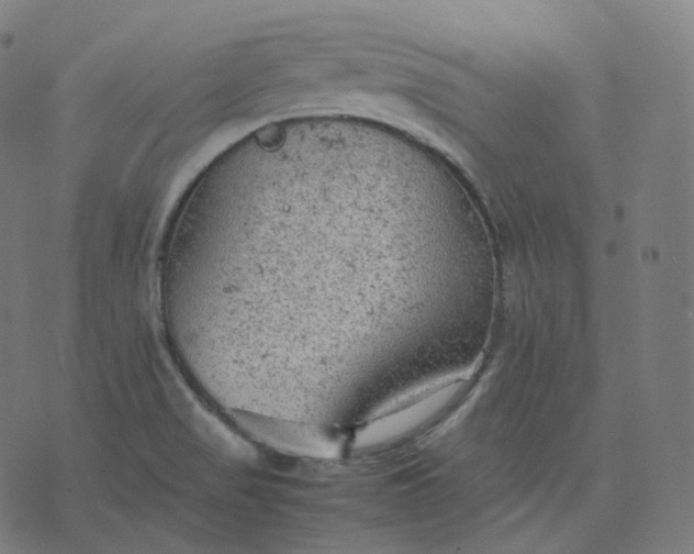 X0000070371517200606231634