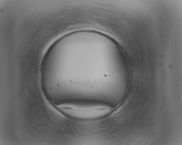 X0000070371518200606231634