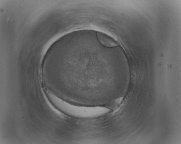 X0000070371519200606231634