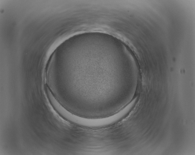 X0000070371520200606231634