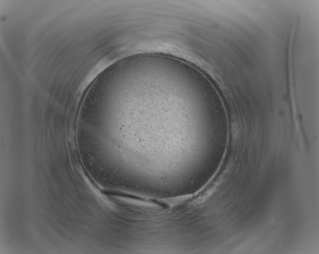 X0000070371521200606231634