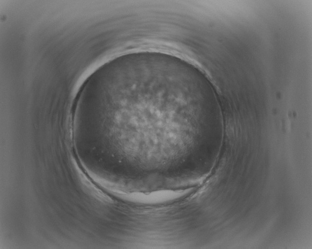 X0000070371522200606231634