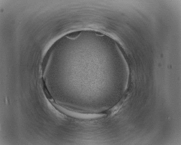 X0000070371524200606231634