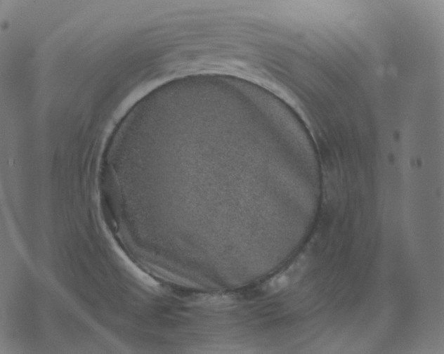 X0000070371525200606231634