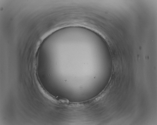 X0000070371526200606231634