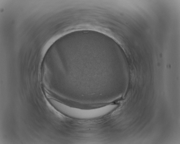 X0000070371527200606231634