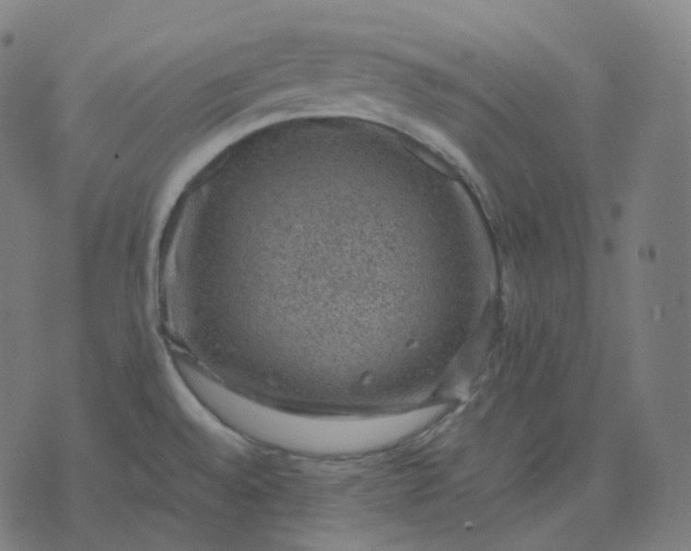 X0000070371528200606231634