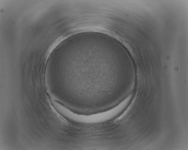 X0000070371529200606231635