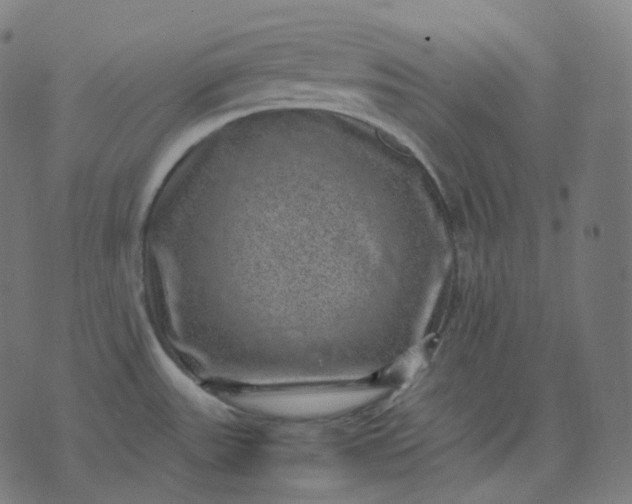 X0000070371531200606231635