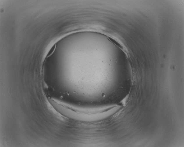 X0000070371532200606231635