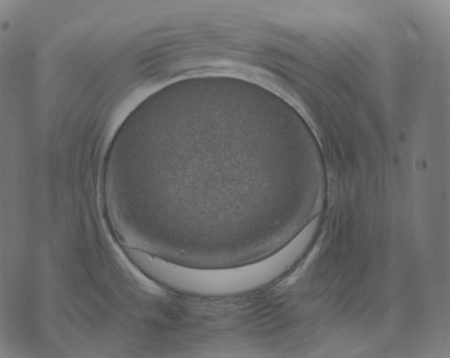 X0000070371533200606231635