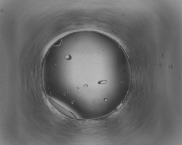 X0000070371534200606231635