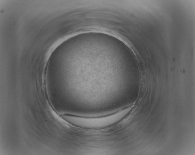 X0000070371535200606231635