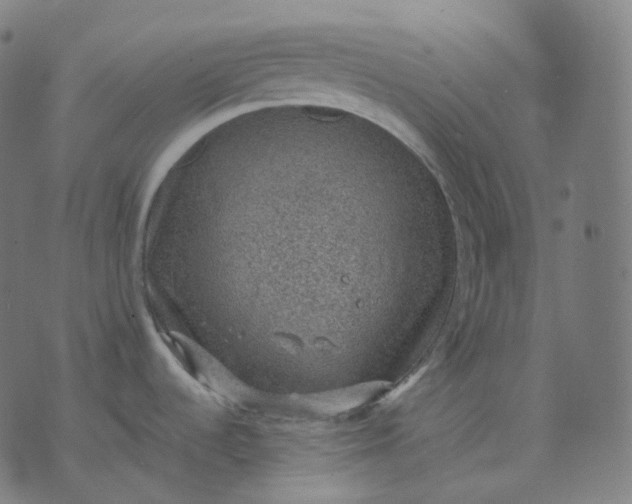 X0000070371536200606231635