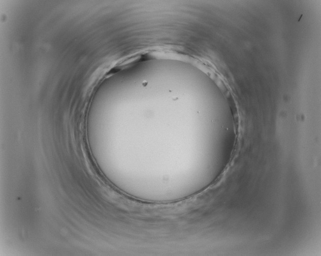 X0000070370001200606301908