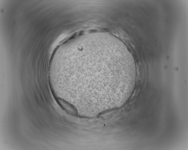 X0000070370003200606301908