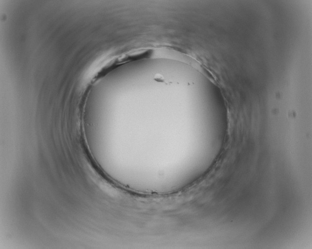 X0000070370005200606301908