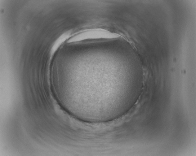 X0000070370006200606301908