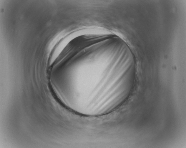 X0000070370007200606301908