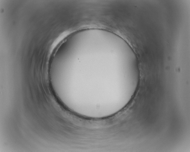 X0000070370008200606301908