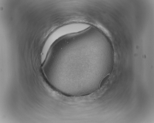 X0000070370009200606301908