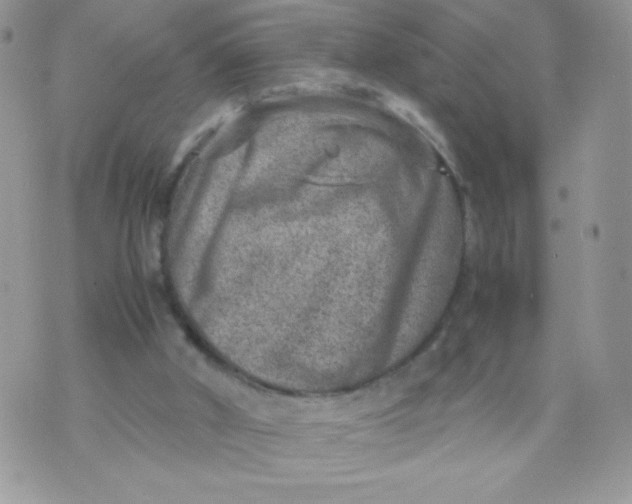 X0000070370010200606301908