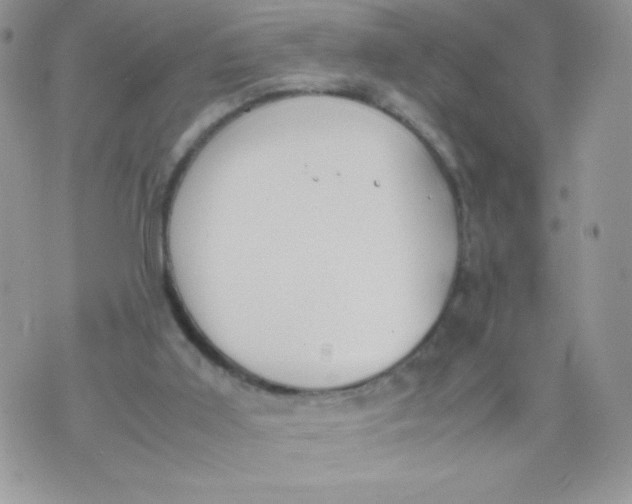 X0000070370011200606301908