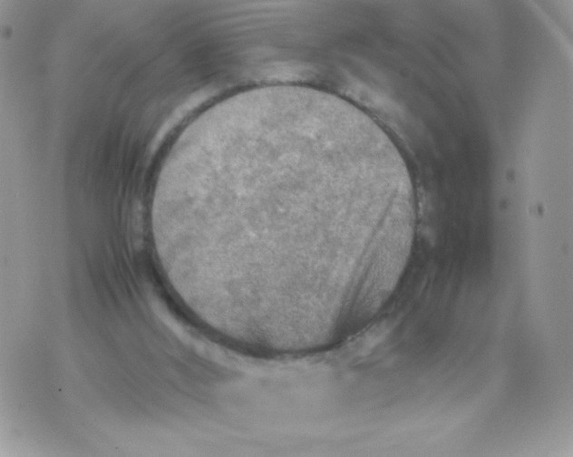 X0000070370012200606301908