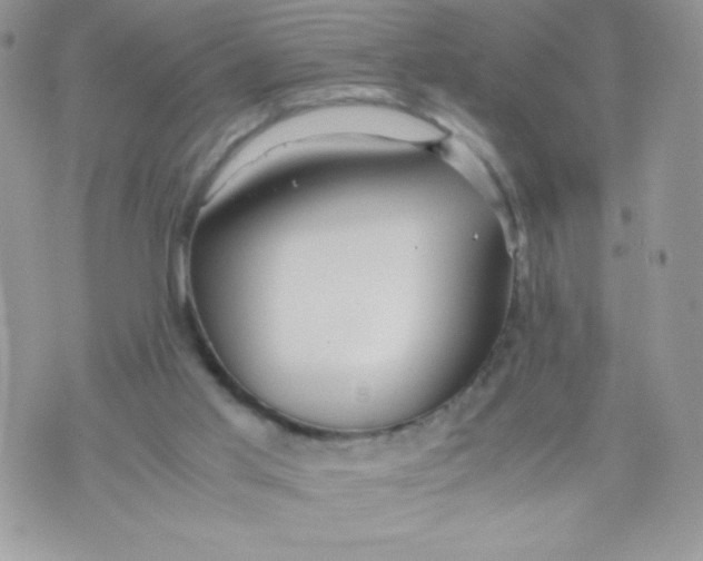 X0000070370013200606301908