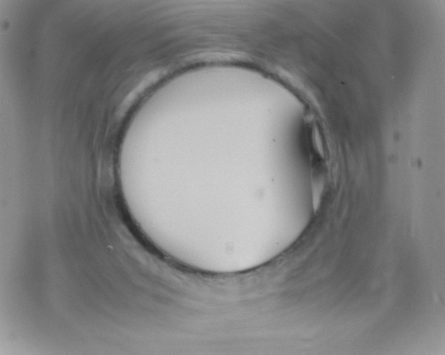 X0000070370015200606301908