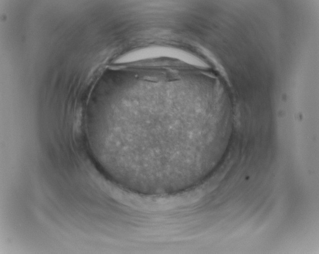 X0000070370018200606301907