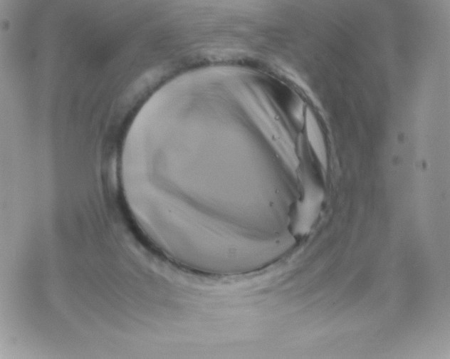 X0000070370019200606301907