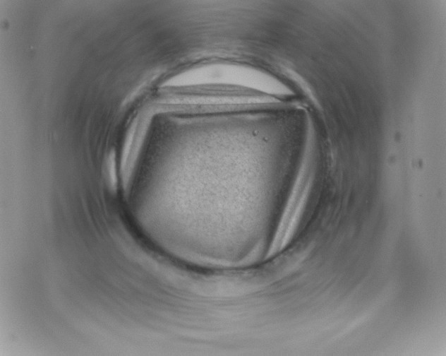 X0000070370020200606301907