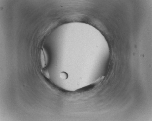 X0000070370021200606301907