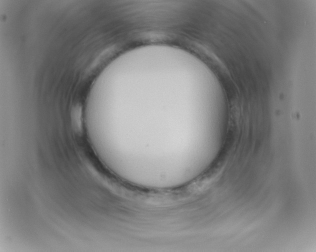 X0000070370024200606301907