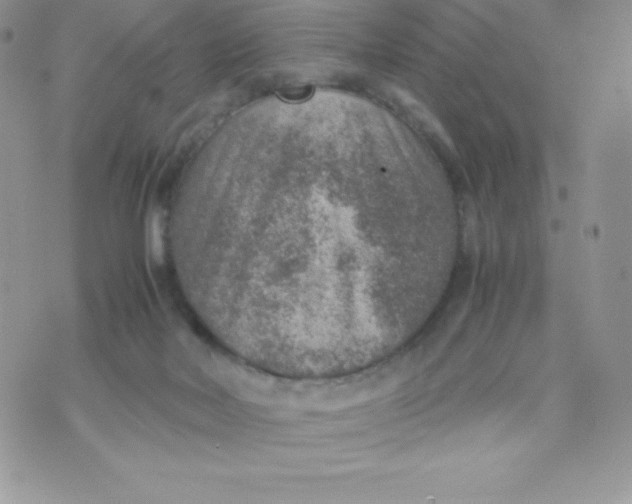 X0000070370026200606301907