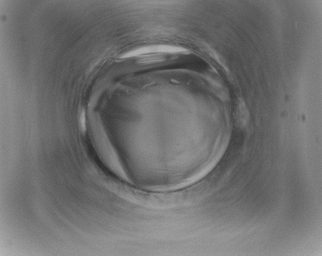 X0000070370027200606301907