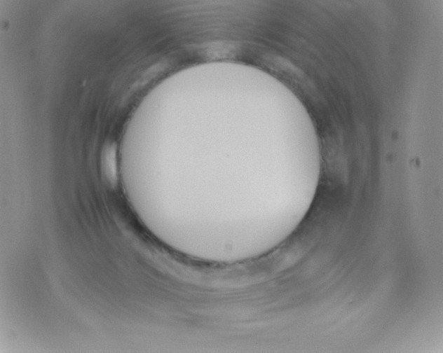 X0000070370028200606301907