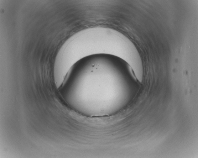 X0000070370030200606301907