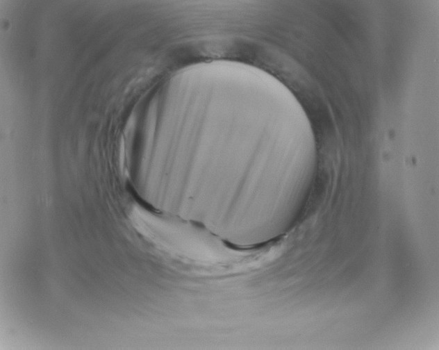 X0000070370031200606301907