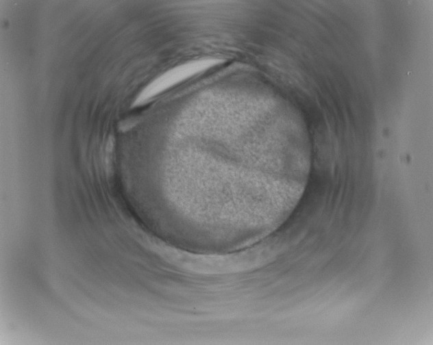 X0000070370034200606301907